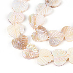 Electroplated Natural Freshwater Shell Carved Beads Strands&nbsp;SHEL-T020-14