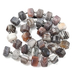 Natural Botswana Agate Beads Strands&nbsp;G-G453-G10-7x12mm