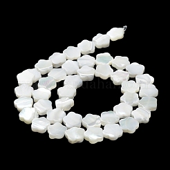 Natural Trochus Shell Beads Strands&nbsp;BSHE-P033-07