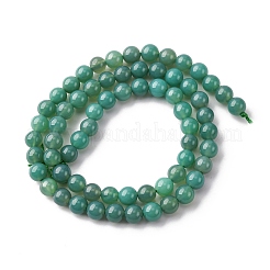 Natural Green Onyx Agate(Dyed & Heated) Beads Strands&nbsp;G-K393-A03-6mm