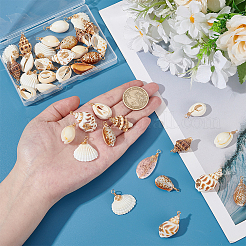 36Pcs 6 Styles Natural Mixed Shell Pendants&nbsp;PALLOY-PHE00014