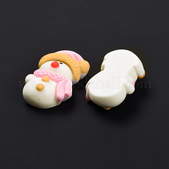 Resin Cabochons&nbsp;CRES-D004-04