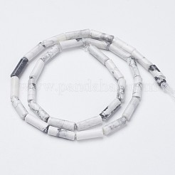 天然石ハウライトビーズ連売り  チューブ  13~14x3.5~5mm  穴：1mm  約29個/連  15.1~15.7インチ（385~400mm）&nbsp;G-G968-F03