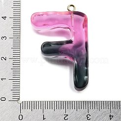 Resin Pendant&nbsp;FIND-Q107-01F-01