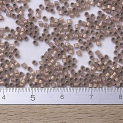 MIYUKI Delica Beads&nbsp;SEED-X0054-DB0191