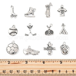 48pcs12スタイルチベットスタイルアロイペンダント  スポーツ用品  アンティークシルバー  15~24.5x11~25x3~5mm  穴：1.5~2mm&nbsp;TIBE-FP0001-15