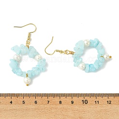 Natural Gemstone Beaded Dangle Earrings&nbsp;EJEW-JE07215