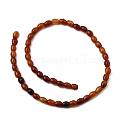 Natural Red Agate Beads Strands&nbsp;G-F801-F01-01A