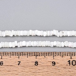Natural Trochid Shell/Trochus Shell Beads Strands&nbsp;SSHEL-N040-21H