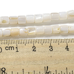 天然淡水シェルビーズ連売り  コラム  フローラルホワイト  5x5mm  穴：0.7mm  約74~76個/連  14.57~14.96''（37~38センチメートル）&nbsp;SHEL-H004-02