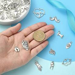 100Pcs 10 Styles Tibetan Style Alloy Charms&nbsp;TIBEP-CJ0002-51