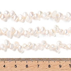 Natural Cultured Freshwater Pearl Beads Strands&nbsp;PA-CBABE82-02E