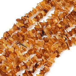 Natural Amber Beads Beads Strands&nbsp;G-Q060-C05