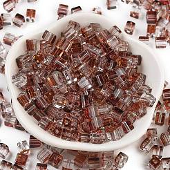 Spray Painted Glass Seed Beads&nbsp;SEED-A034-01I