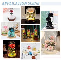15Pcs Mini Glass Dome Cover&nbsp;DJEW-BC0001-19
