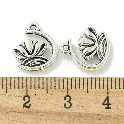 Tibetan Style Alloy Pendants&nbsp;TIBE-I026-6025AS