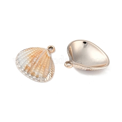 メッキアクリルパーツ  模造シェル付  シェル形状  砂茶色  26x27x7mm  穴：2mm&nbsp;OACR-F012-07B