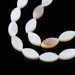 Natural Freshwater Shell Beads Strands&nbsp;SHEL-Q024A-017
