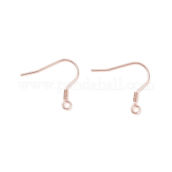 304 Stainless Steel Earring Hooks&nbsp;X-STAS-P221-04RG