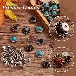 40 Sets 8 Style Alloy Coin Screw Rivets&nbsp;FIND-GA0003-13