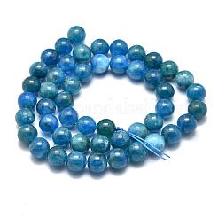 Natural Apatite Beads Strands&nbsp;G-O186-E02-8mm
