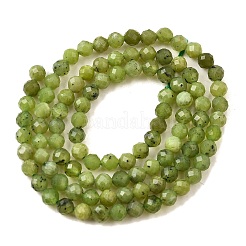 Natural Canadian Jade Beads Strands&nbsp;G-G259-D02-4mm