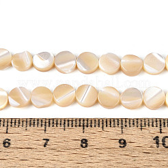 天然トロチッドシェル/トロカスシェルビーズ連売り  フラットラウンド  小麦  5~6x1.5~3mm  穴：0.6mm  約65~66個/連  15.16~15.35インチ（38.5~39cm）&nbsp;SSHEL-N041-03