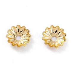 ラックメッキ真鍮ビーズキャップ  長持ちメッキ  花  マルチ花弁  18KGP本金メッキ  5.5x1.3mm  穴：1.2mm&nbsp;X-KK-F827-01A-G