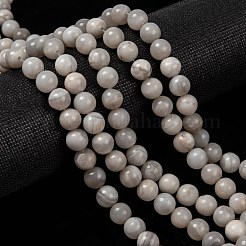 天然ホワイトクレイジーレースアゲートビーズ連売り  ラウンド  ホワイト  8mm  穴：1mm  約44個/連  14.9インチ〜15.1インチ&nbsp;X-G-D840-55-8mm