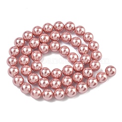 Electroplated Shell Pearl Beads Strands&nbsp;BSHE-G041-8mm-05