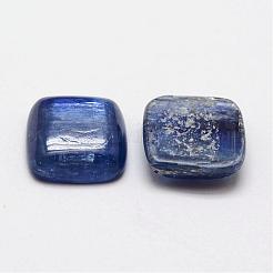 Square Natural Kyanite/Cyanite/Disthene Cabochons&nbsp;G-O148-01C