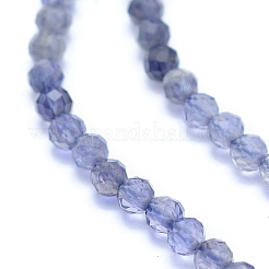 Natural Iolite Beads Strands&nbsp;G-I279-E08