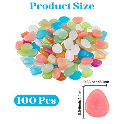 1 Set Resin Luminous Glow in the Dark Pebbles Stone&nbsp;DJEW-CN0001-40A