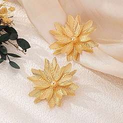 Alloy Stud Earrings&nbsp;FS-WG4939F-01
