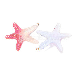 Resin Big Pendants&nbsp;CRES-D321-01G