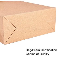 Kraft Paper Bags Gift Shopping Bags&nbsp;AJEW-PH0016-50