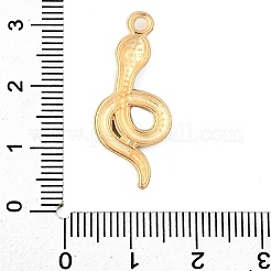 Alloy Enamel Pendants&nbsp;FIND-U031-14G-01