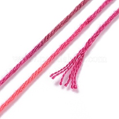 10かせ 6層ポリエステル刺繍フロス  クロスステッチの糸  セグメント染め  ファイヤーブリック  0.5mm  約8.75ヤード（8m）/かせ&nbsp;OCOR-K006-A56