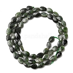 天然グリーンディオプサイドビーズ連売り  ティアドロップ  多面カット  6x4x2.5mm  穴：0.6mm  約62~68個/連  15.16~15.55''（38.5~39.5センチメートル）&nbsp;G-B159-A17