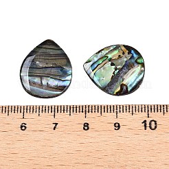 Natural Paua Shell Teardrop Cabochons&nbsp;SSHEL-T017-10