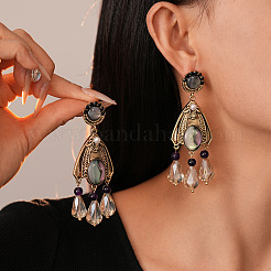 Teardrop Alloy & Rhinestone Dangle Stud Earrings&nbsp;FS-WG4DD0F-01