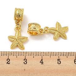 Tibetan Style Alloy European Dangle Charms&nbsp;PALLOY-F199-41G