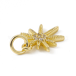 Brass Micro Pave Cubic Zirconia Charms&nbsp;ZIRC-F132-34G