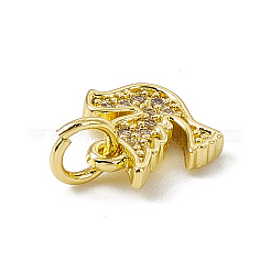 Brass Micro Pave Cubic Zirconia Charms&nbsp;ZIRC-F132-29G