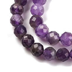 Natural Amethyst Beads Strands&nbsp;G-F770-C07-02AB