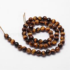 Natural Tiger Eye Beads Strands&nbsp;G-D840-39-4mm
