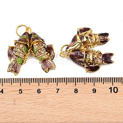 Brass Cloisonne Pendants&nbsp;KK-P251-A01-G-02