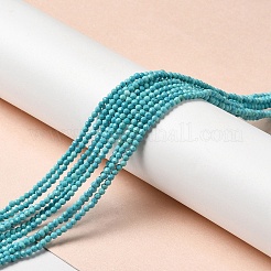 Natural Howlite Beads Strands&nbsp;G-C025-02A-01