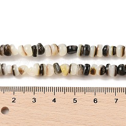 天然ブラックリップシェルビーズ連売り  フラットラウンド  6x2~4mm  穴：0.6mm  約110~116個/連  14.96''（38センチメートル）&nbsp;SHER-R100-02A