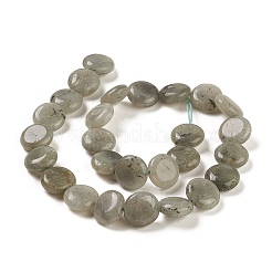 Natural Labradorite Beads Strands&nbsp;G-M403-C09-01